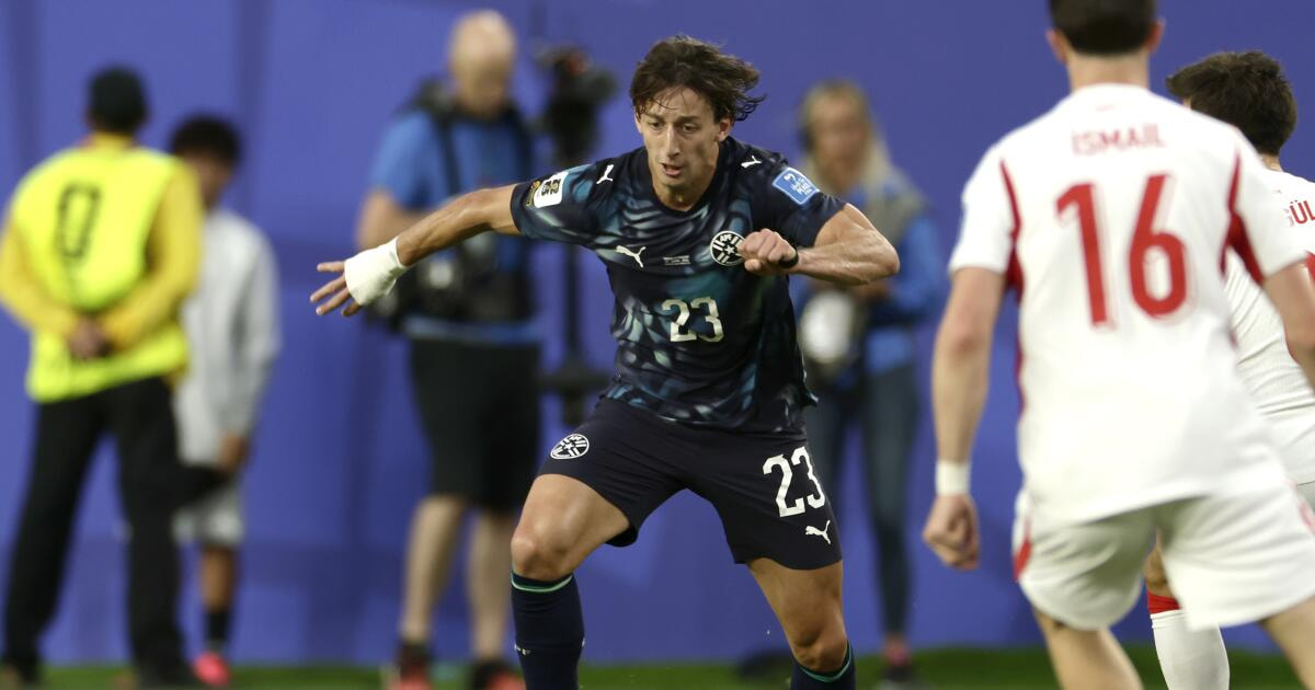 Paraguay Beats Turkey 1-0, United States Clinches Group D at World Cup