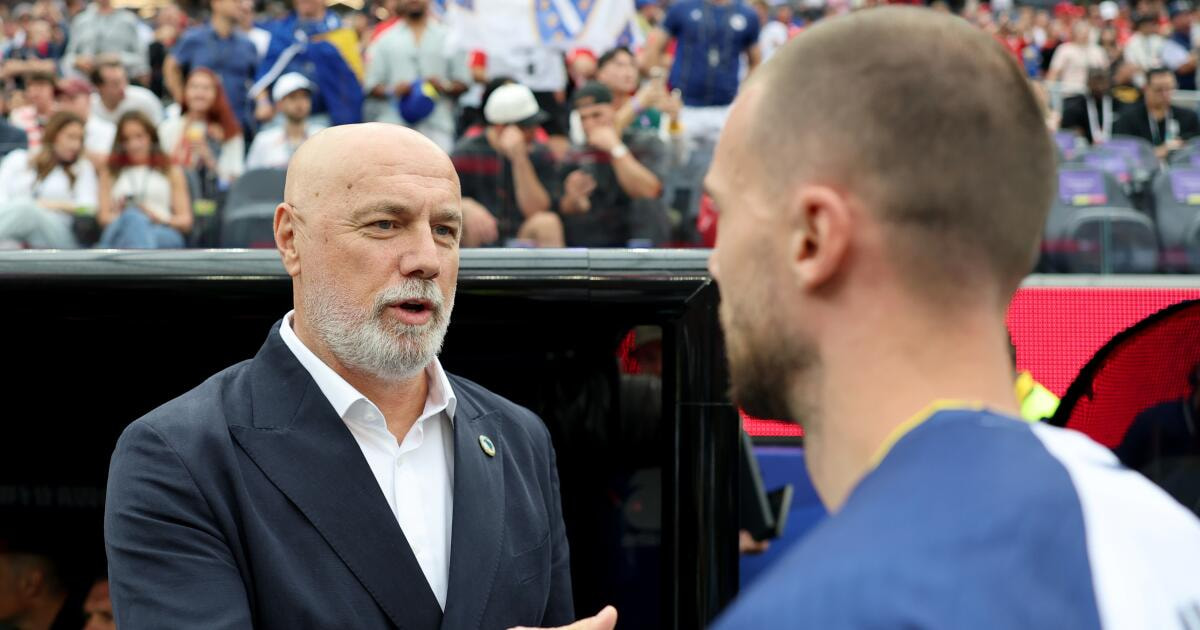 Sergej Barbarez Goes All In as Bosnia Falls 4-1 to Switzerland at World Cup